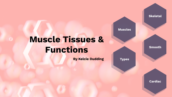 types-of-muscles-and-their-functions-by-kelcie-dudding