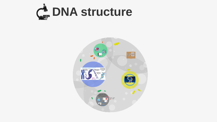DNA structure by Melanie Blair on Prezi