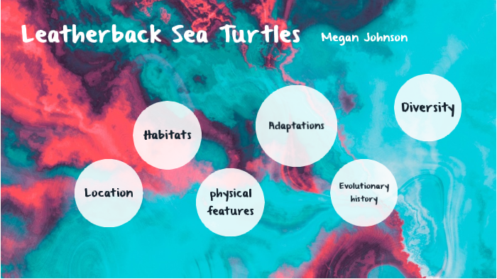 Leatherback Sea Turtles by Megan Johnson on Prezi