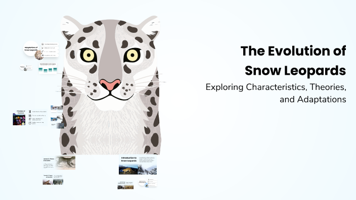 The Evolution of Snow Leopards by Olen Robinson on Prezi