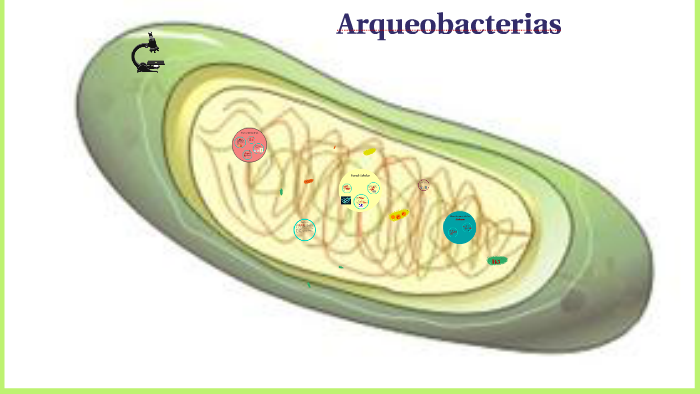 Arqueobacterias by Javier Campos