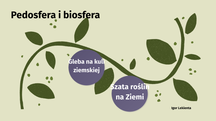 Gleby Biosfera Sprawdzian Odpowiedzi Nowa Era Pedosfera i biosfera by Igor Lekienta on Prezi