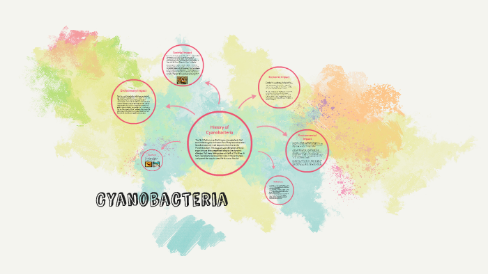 Cyanobacteria by Hayat C on Prezi