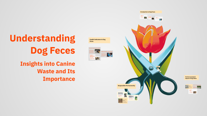 Understanding Dog Feces by TỔ 4 on Prezi