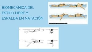 biomecánica del estilo libre y espalda en natación. by martha liliana ...