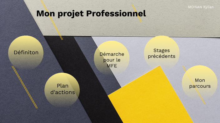 Mon projet professionnel by Kylian MOISAN on Prezi