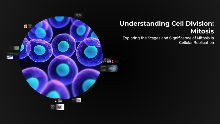 Understanding Cell Division: Mitosis by Lyzzy Nomiсаүөn on Prezi