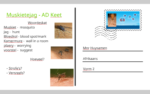 Muskietejag - AD Keet by Curtis Huysamen on Prezi