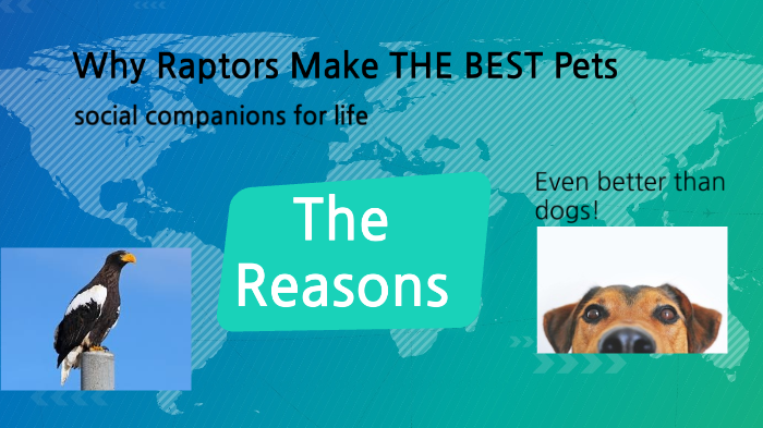 Pet Rapters Raptors as pets by jack t on Prezi