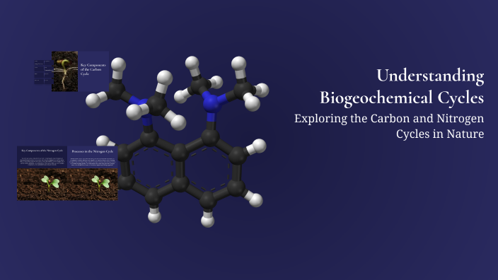 Understanding Biogeochemical Cycles by Logan Hughbanks on Prezi