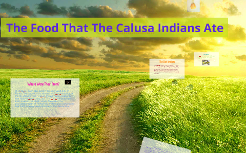 The Food That The Calusa Indians Ate by Dodo Bird on Prezi