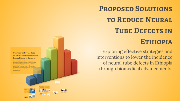 Proposed Solutions to Reduce Neural Tube Defects in Ethiopia by Eleanor ...