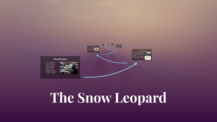 Physical Features - Snow Leopard Trust