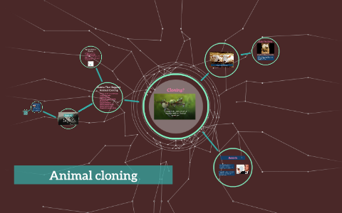 Animal cloning by Hannah Foofoocuddlypoops on Prezi