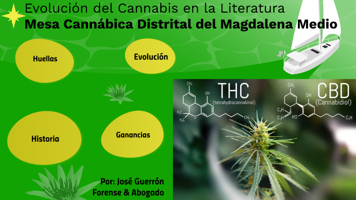 Evolución Del Cannabis En La Literatura By Jose David Guerron Ciro