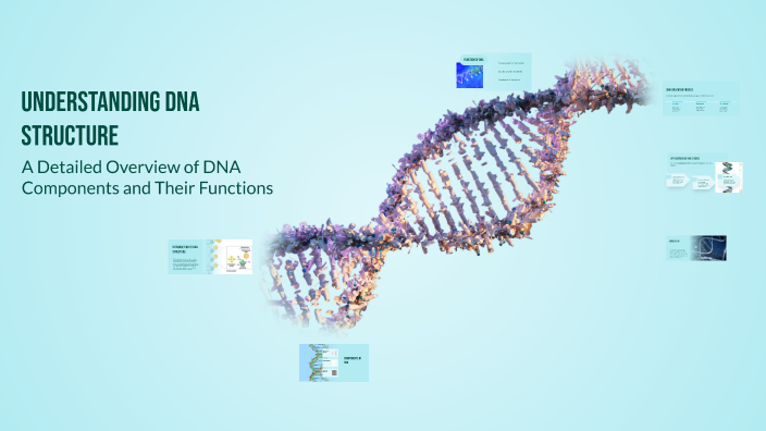 Understanding DNA Structure by Victor Jr. Angob on Prezi