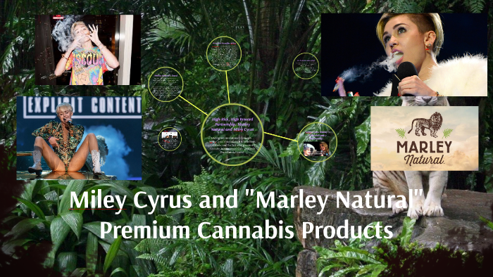 analysis of alright by kendrick lamar prezi analysis of alright by kendrick lamar prezi