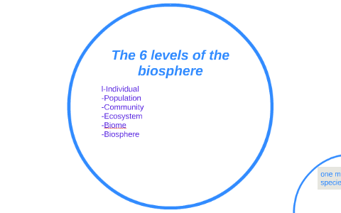 The 6 levels of the biosphere by irving moran