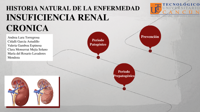 HISTORIA NATURAL: INSUFICIENCIA RENAL by Cristina Manzo on Prezi
