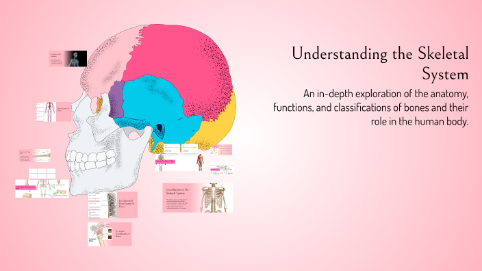 Understanding the Skeletal System by Maya Said on Prezi