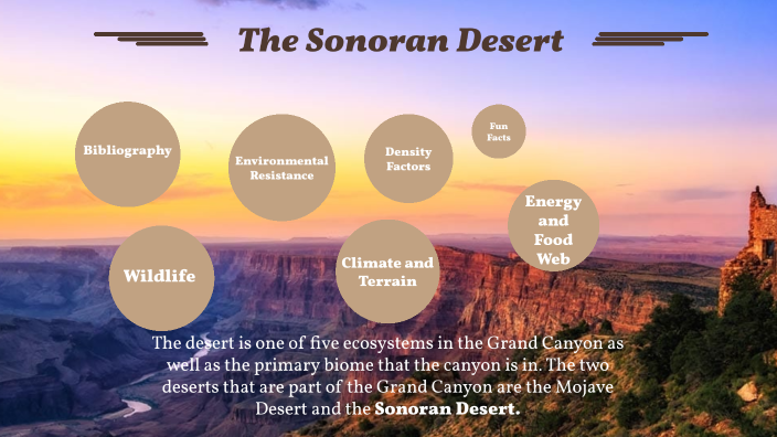 Biology - Grand Canyon Ecosystems By Andreu Beltran** On Prezi