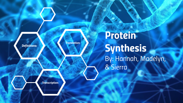 Protein Synthesis Movie Project by Madelyn Loghmani on Prezi