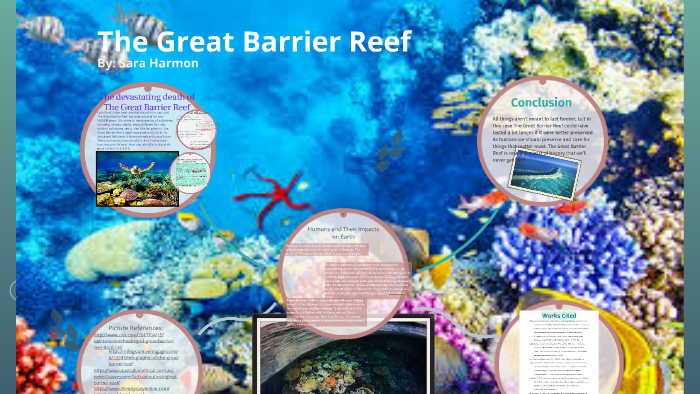 The Great Barrier Reef by sara harmon on Prezi
