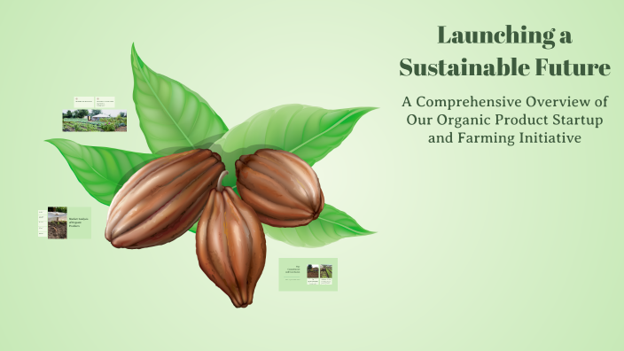 Launching a Sustainable Future by Himanshu Parmar on Prezi