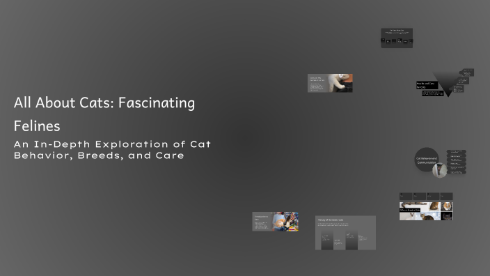 All About Cats: Fascinating Felines by Vianey Sanchez Vilchis on Prezi