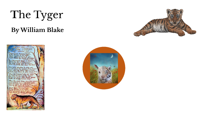 The Tyger By William Blake By Blake Knuist