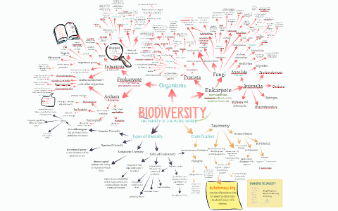 Biodiversity Mind Map