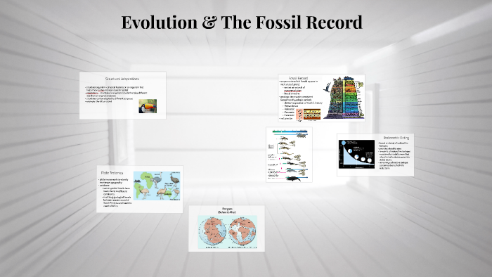 Evolution & The Fossil Record by Aayush Sahgal
