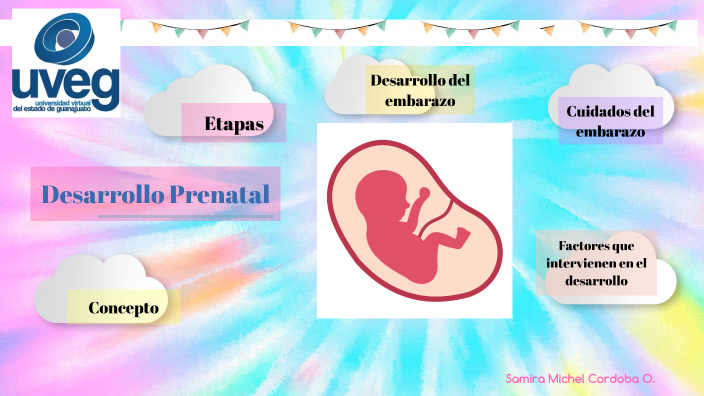 Infografía Interactiva Desarrollo Prenatal By Samira Michel Cordoba Olmedo On Prezi