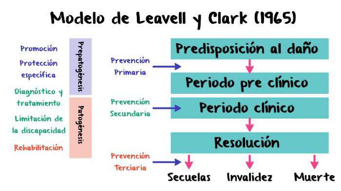 Modelo de Leavell y Clark by Karen Tatiana Villamizar