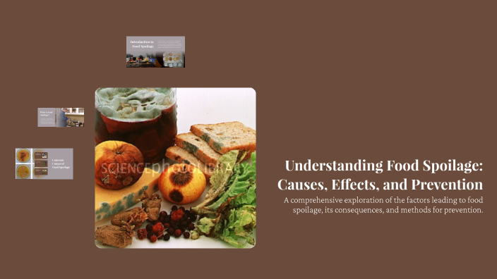 Understanding Food Spoilage: Causes, Effects, and Prevention by Malica ...