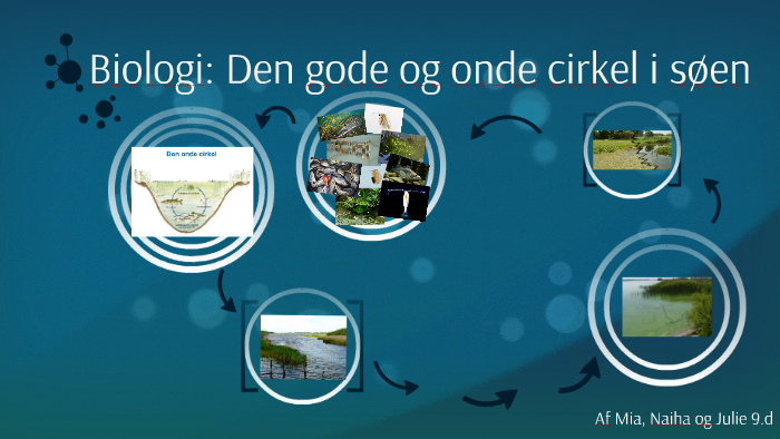biologi-den-gode-og-onde-cirkel-i-s-en-by-diba-afzali-on-prezi