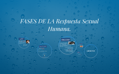 FASES DE LA Respuesta Sexual Humana. by Giselle Arizmendi on Prezi