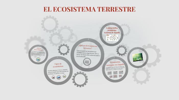 EL ECOSISTEMA TERRESTRE by Ana Delgado Sánchez on Prezi