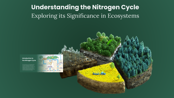 Understanding the Nitrogen Cycle by Kilenya Benally on Prezi