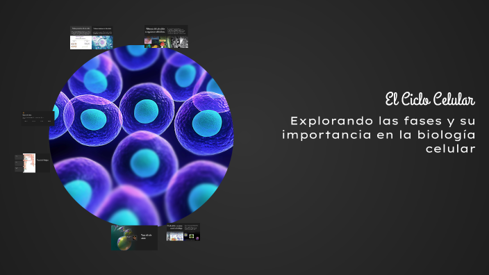 El Ciclo Celular by Sofia Diaz on Prezi