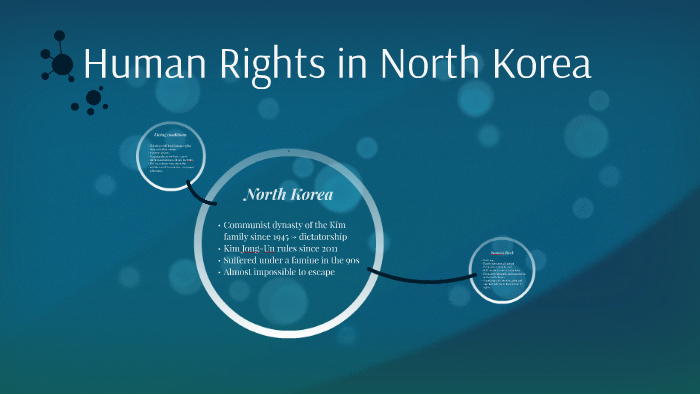 human rights in north korea essay