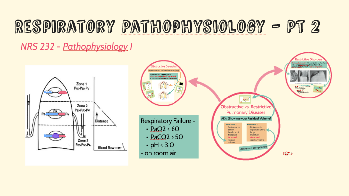 Respiratory Pathophysiology - Part 2 by Katrina Dielman on Prezi Next