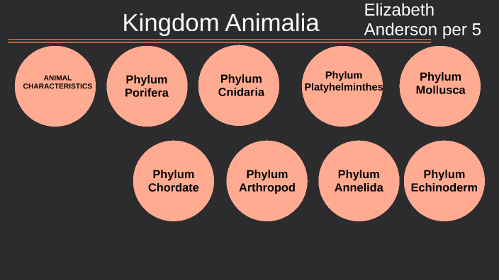 Zoology Project by Liz Anderson on Prezi