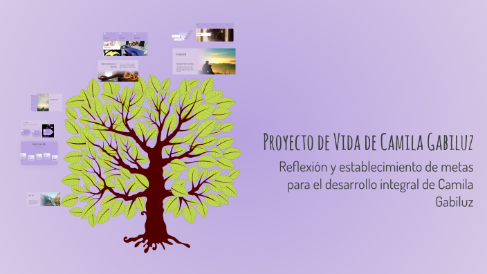 Proyecto de Vida de Camila Gabiluz by Gaby Apaza on Prezi