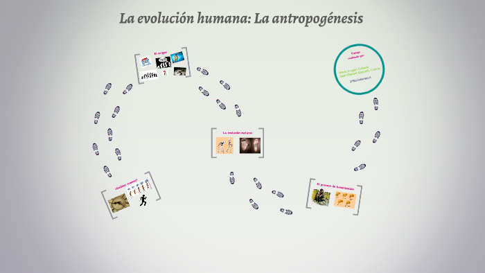 La evolución humana: La antropogénesis by María Aragón on Prezi