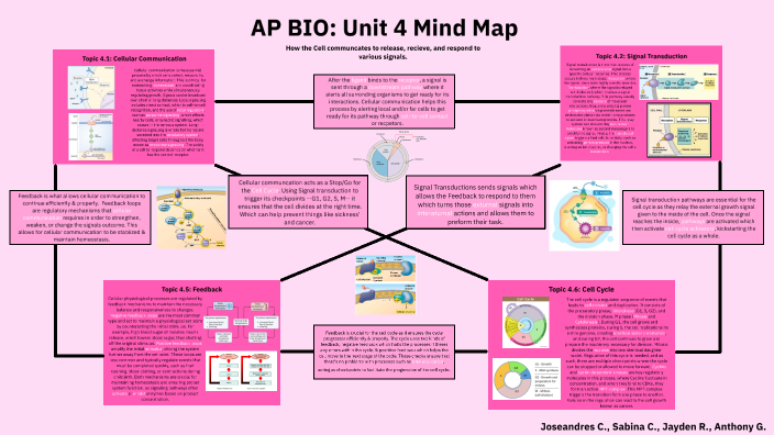 Unit 4: Mind Map by Jayden Ramirez on Prezi