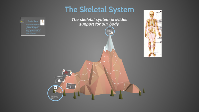 The Skeletal System by l b on Prezi