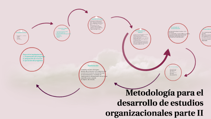 Metodología para el desarrollo de estudios organizacionales by Pamela ...