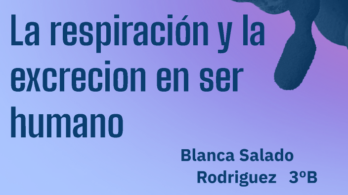 La respiración y la excreción en el ser humano by Blanca Salado ...