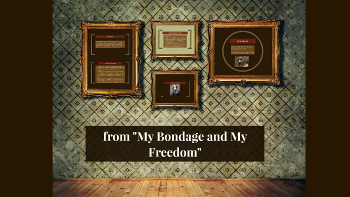 my bondage and my freedom author